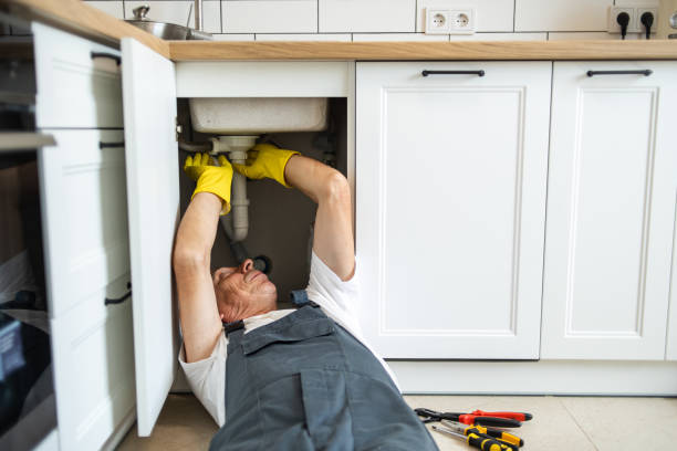 Best Garbage Disposal Repair and Installation  in Danbury, TX